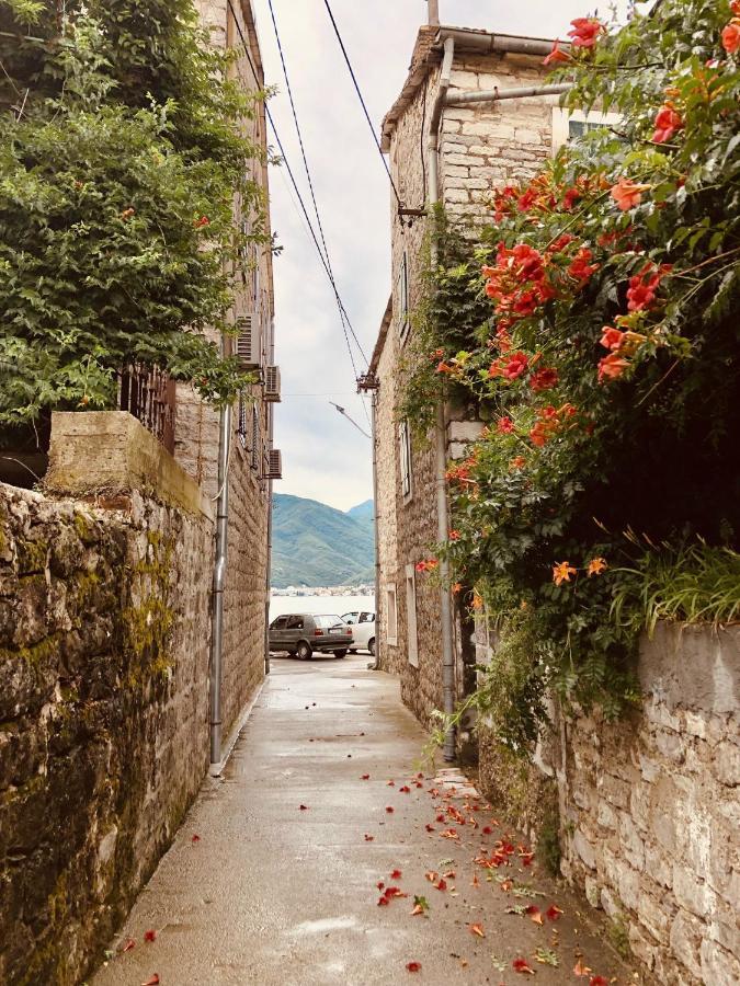 Guesthouse Giraffe Donja Lastva Dış mekan fotoğraf